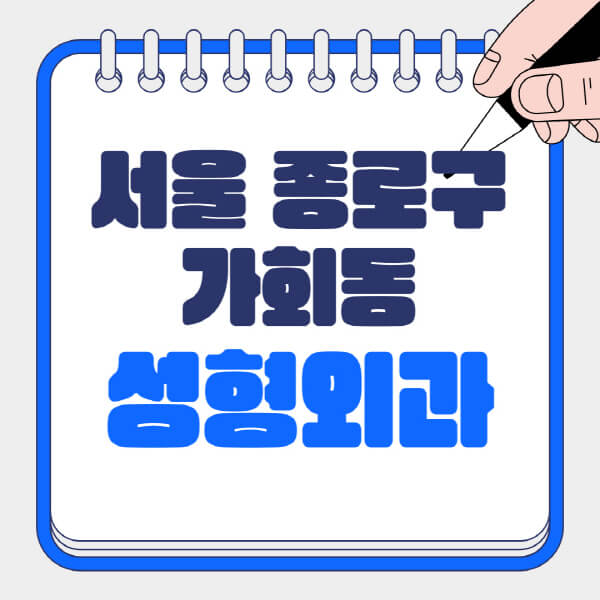  서울 종로구 가회동 성형외과, 어떤 정보 있나요?