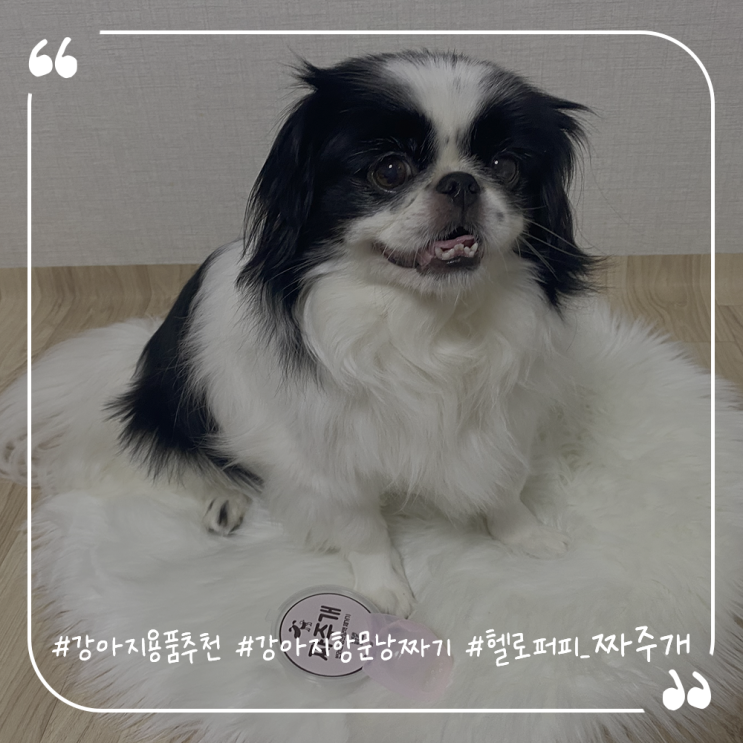  강아지용품추천 강아지항문낭짜기 헬로퍼피 짜주개로 쉽게해요