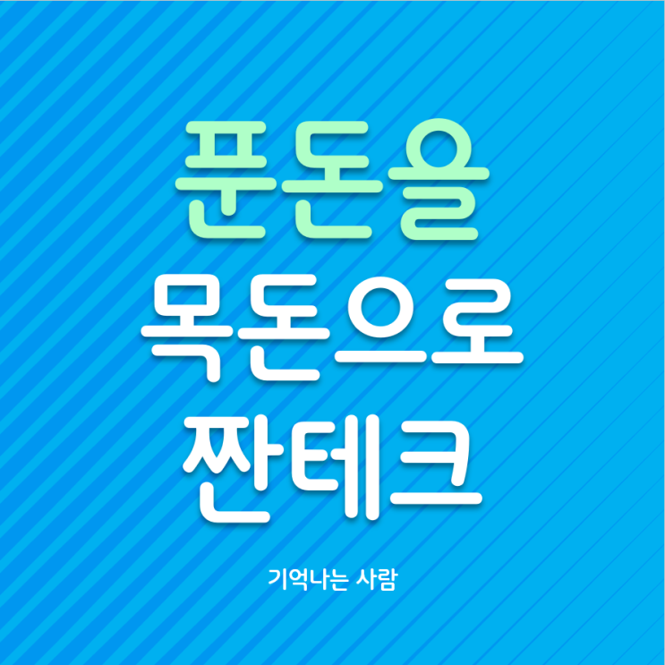  푼돈을 목돈으로 만드는 생활의 기술 짠테크