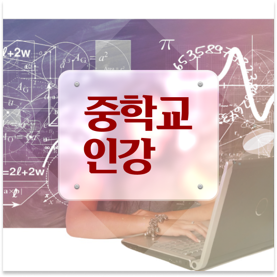  중1 엠베스트 단과 학습 효과 차이