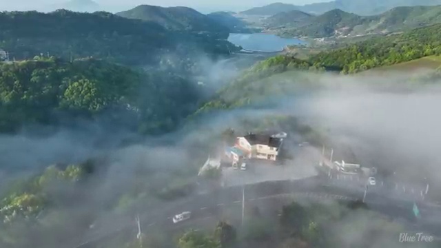  사주 어플 , 명리심리상담사자격증 취득한 노하우 , 무료수강