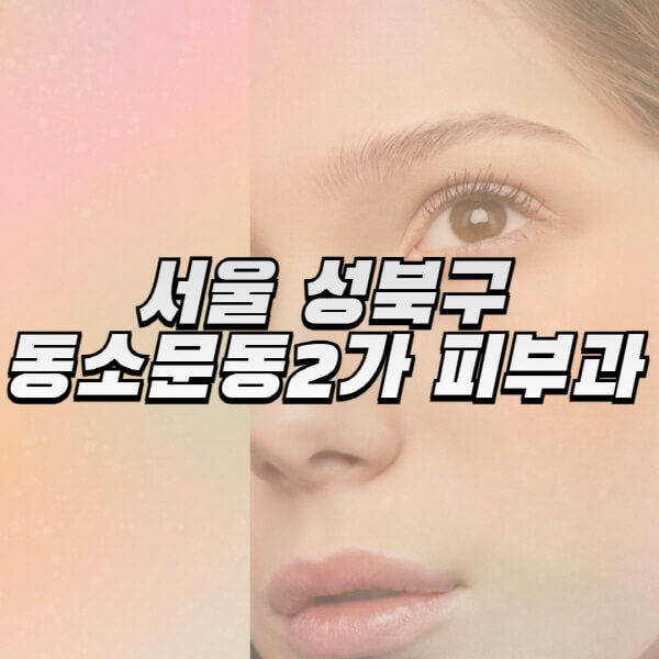  성북구 동소문동2가 피부과, 보톡스, 리프팅, 필러 정보 뉴스