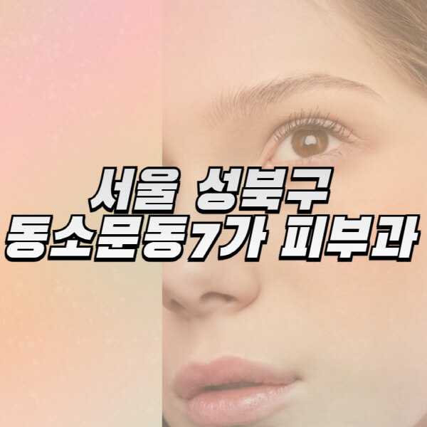  서울 성북구 동소문동7가 피부과 로컬 리뷰 & 유명 진료소 추천