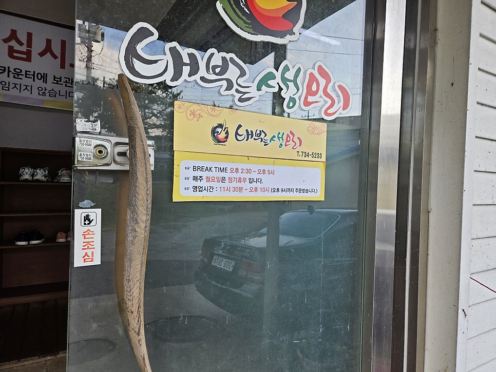 배부른생오리 사진 2