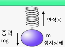 뉴톤의 운동법칙 : 힘과 운동 뉴톤의 운동법칙 : 힘과 운동