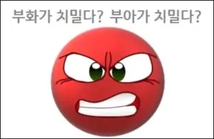  부화가 치밀다 부아가 치밀다 맞춤법