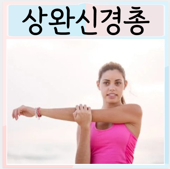  상완신경총 손상 원인 증상 어깨 통증 왼쪽 오른쪽 포착
