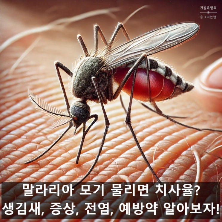 말라리아 모기 물리면 치사율? 생김새, 증상, 전염, 예방약 알아보자!