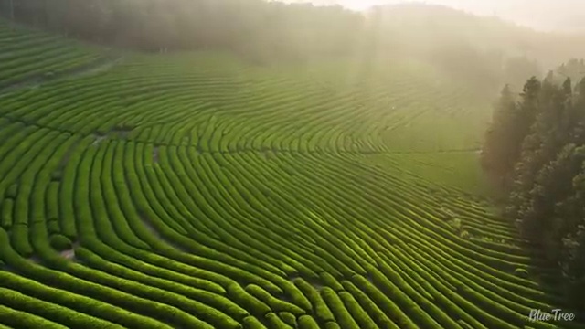  수산물 품질관리사 자격증 , 쉽고 빠르게 완료한 팁