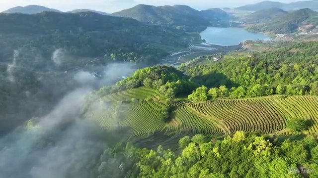  반려동물관리사자격증취득법 , 반려동물관리사 자격증 2주 만에 취득한 과정 알아보기