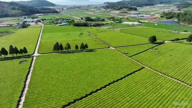  상가 리모델링 , 전문디자이너 에게 무료로 비교견적 도와드려요.