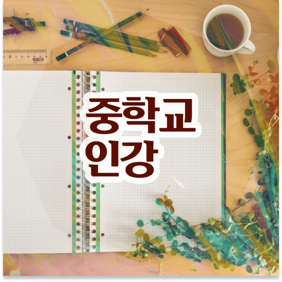  중3 중등영어내신 엠베스트 중등 스스로 학습 후기