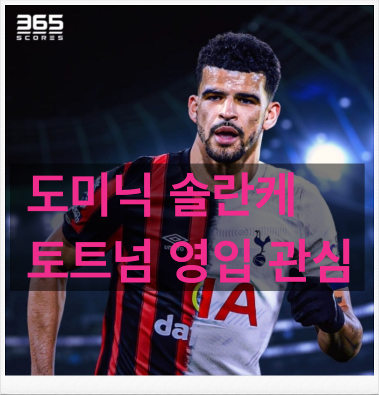 도미닉 <b>솔란케</b> <b>토트넘</b>이 1140억에 영입한다고?
