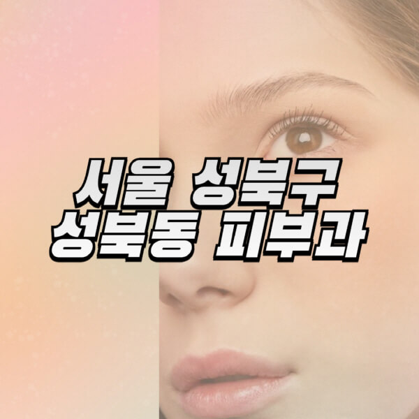  성북동 피부과 추천 및 전문의 정보, 가장 유명한 곳 3곳!