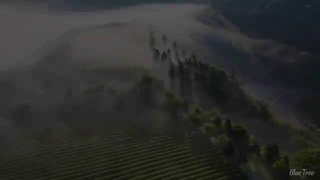  신재생에너지발전설비산업기사(태양광) 응시자격확인 신재생에너지발전설비산업기사(태양광) 시험응시자격 인강만 듣고 간편하게 성공한 후기