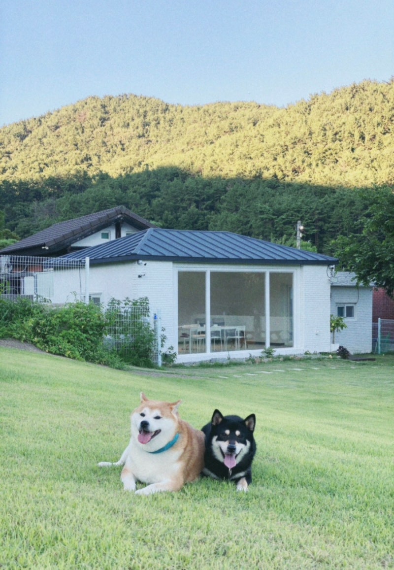 사진 3