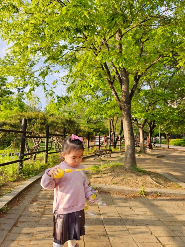  [31m 2, 3w] 아기랑 제주도여행 / 어린이집 학부모상담 뭘 질문해야할까 / 보라매공원 피크닉 / 언니랑 부산여행 / 시부모님 칠순잔치