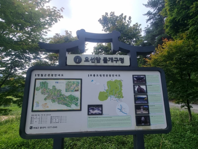 사진 9