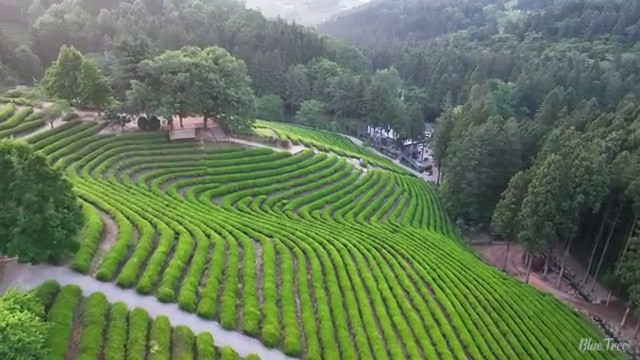  의류기사 시험자격 독학으로 단기간에 성공한 후기