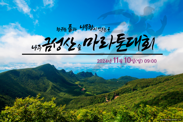 나주 금성산숲길마라톤 대회 요강 및 코스 총정리 2024년 11월 10일