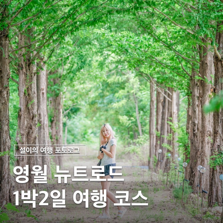  영월 여행 1박2일 코스 뉴트로드 가볼만한곳 총정리