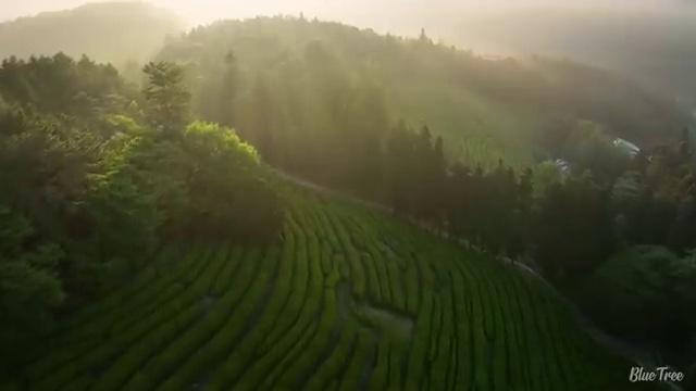  그린전동자동차기사 자격요건 집에서 온라인으로 단기간에 완료한 팁