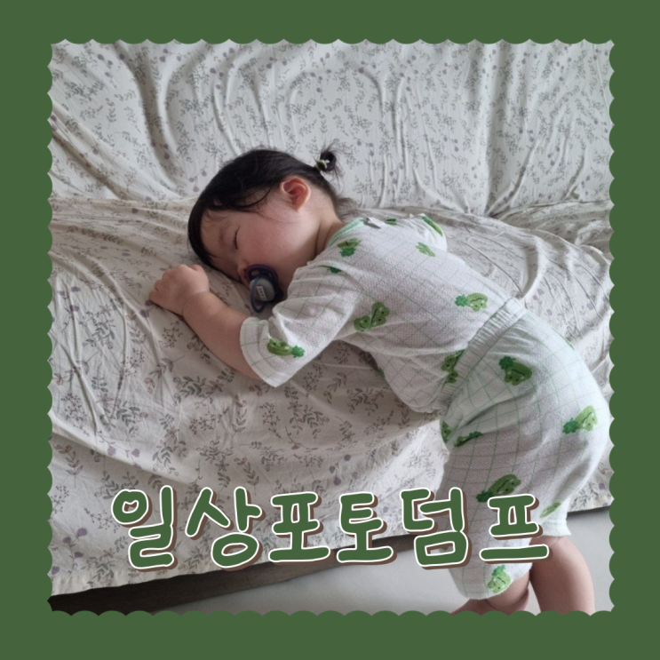  일상 포토 덤프 7회차 예쓰예쓰오예쓰