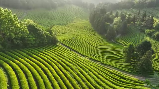  수산물품질관리사 자격증 , 학습과정