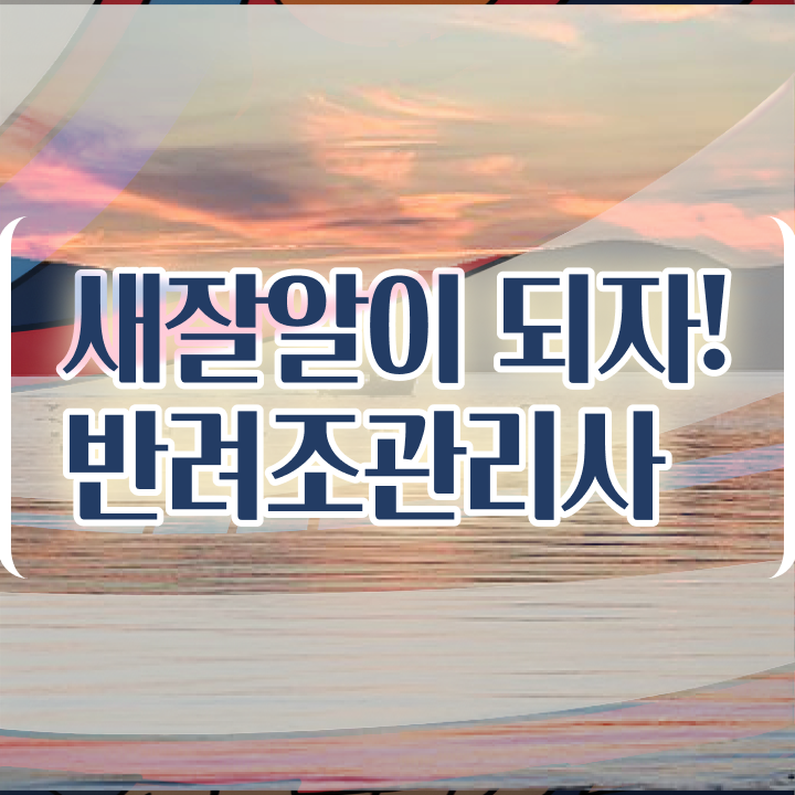  모란앵무 알 , 반려조관리사 자격증 학습한 후기 알아보기