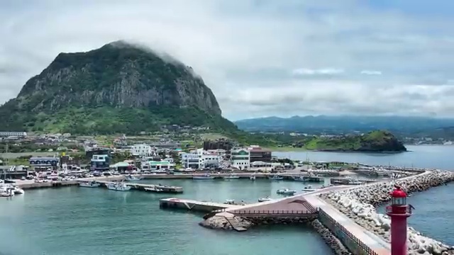  축산기사 필기 과목 축산기사 응시자격 독학으로 5달만에 성공한 전략