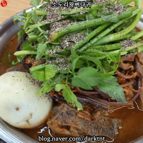 전농로 맛집 제주공항 근처 전국 유일무이 고사리 감자탕 추천 소도리왕뼈다귀