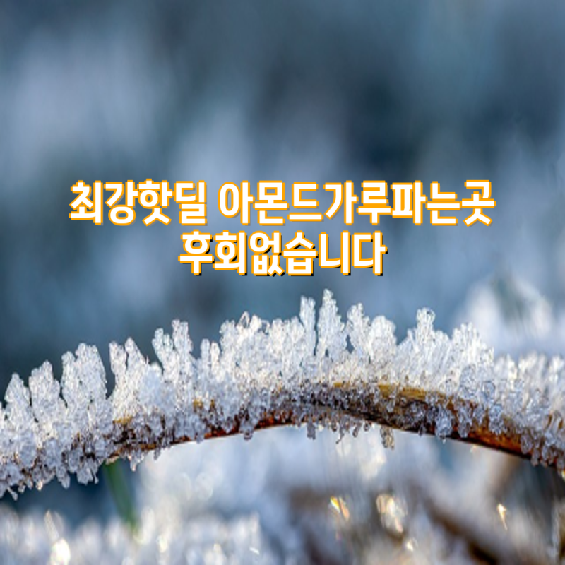 최강핫딜 아몬드가루파는곳 후회없습니다! 100% 아몬드분말 1kg 구매 가이드 | 아몬드분말, 웰....