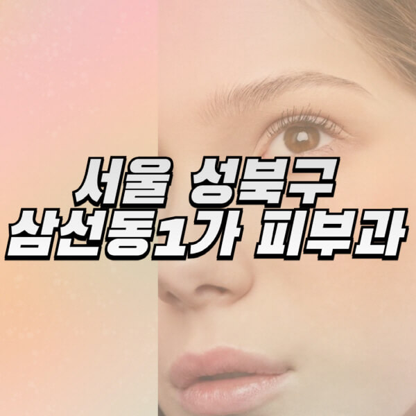  성북구 삼선동1가, 피부과 전문의 추천 및 유명한 시술 정보