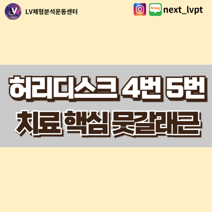  [동래 사직동 재활운동] 허리디스크 4번 5번 치료의 핵심 뭇갈래근