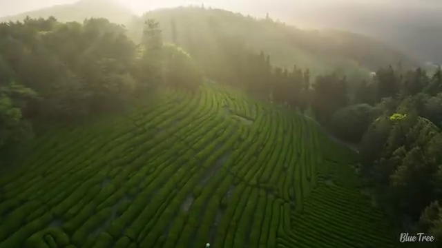  동대문구 용신동 청년배관케어 욕실 하수구막힘 효과적인 관리 요령