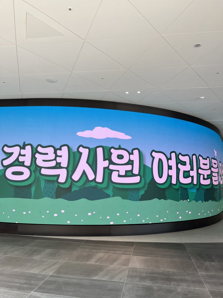  3박 4일 그룹 경력 연수 일상