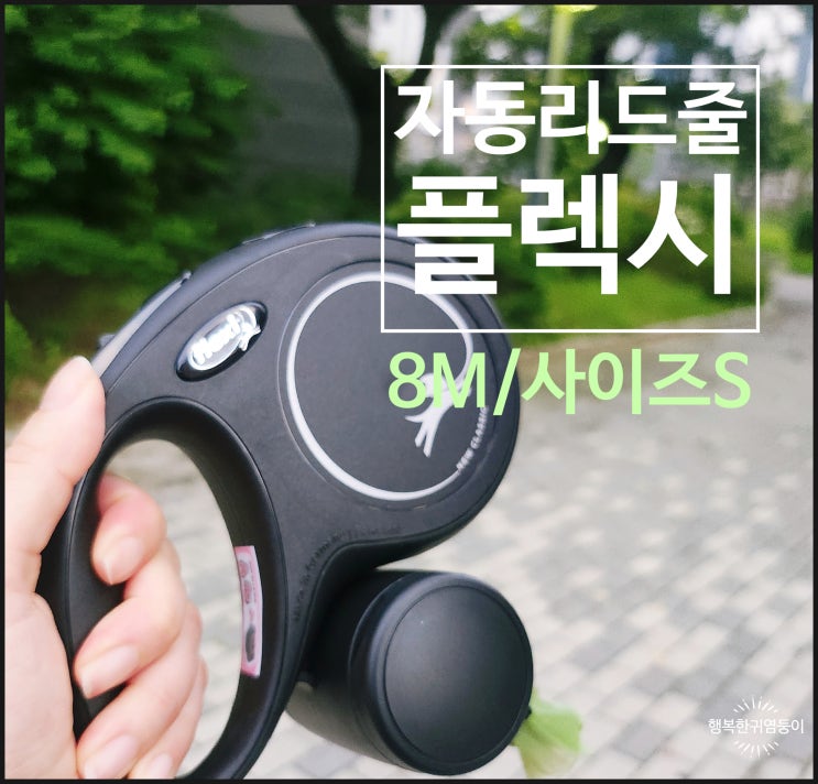  강아지 자동 리드줄 플렉시 더뉴클래식 자동줄  8M 내돈내산