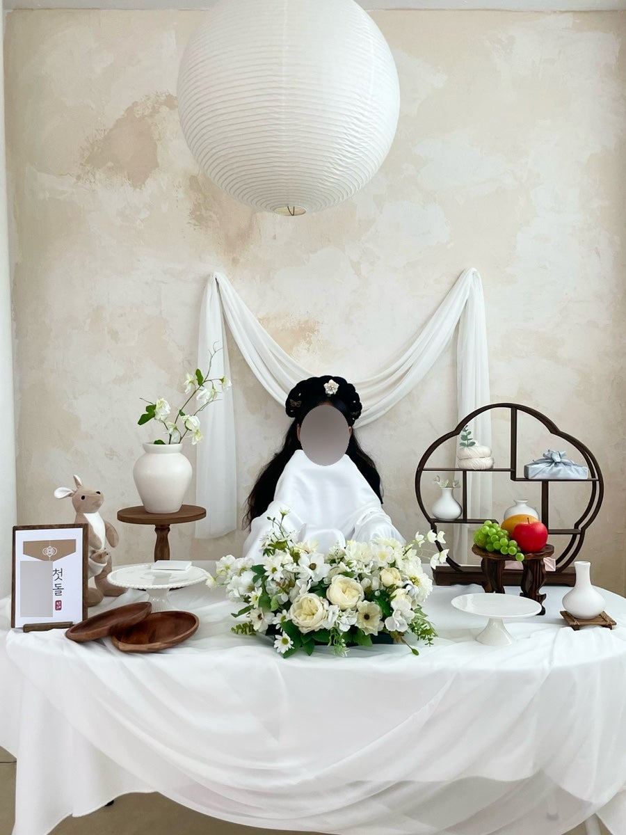 보매화과 사진 6