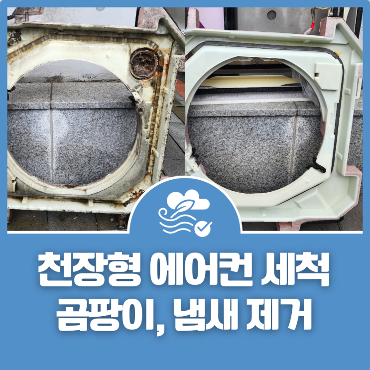  화성 동탄 상가 천장형 4way(포웨이) 에어컨 곰팡이 청소 방법