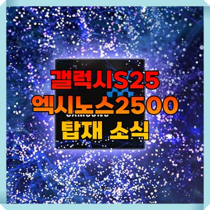  삼성 갤럭시S25 엑시노스 2500 칩 탑재 예정 소식