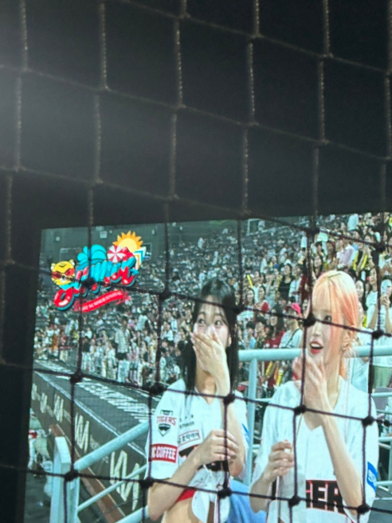 프로미스나인 송하영 백지헌 시구 보고왔음