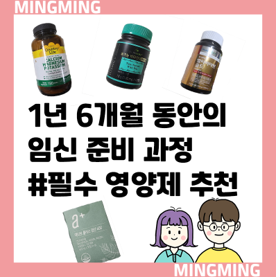 임신 준비 직접 먹은 영양제 추천 (배란 테스트기) 임신 준비 직접 먹은 영양제 추천 (배란 테스트기)