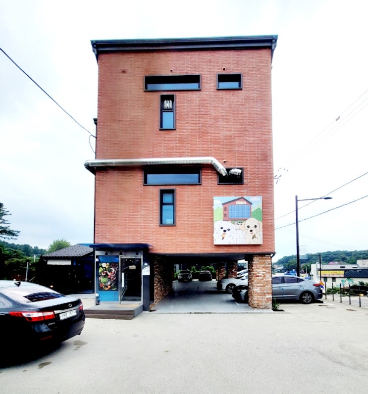  내돈내산 경기도 포천시  반려견 동반 가능 요리맛집 농가의식탁 포천점