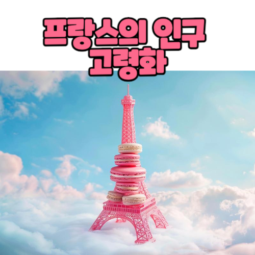  프랑스의 인구 고령화, 어떻게 대응해야 할까?