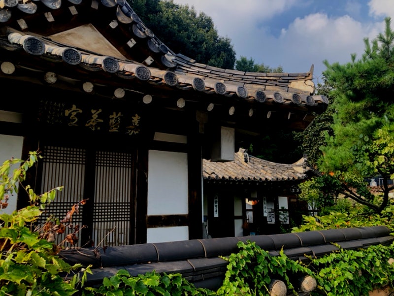 사진 3