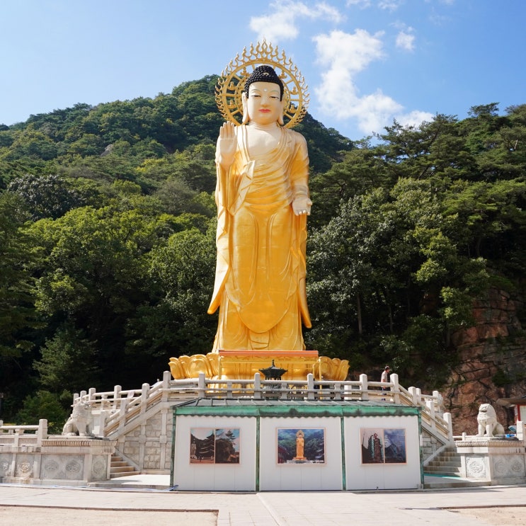  보은 여름 가볼만한곳 , 속리산 계곡 근처 있는 절, 법주사