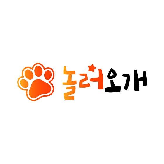 놀러오개 애견유치원 애견호텔 송파점