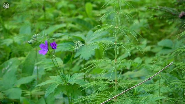  광주 정신건강사회복지사 급여 사회복지사2급 대학진학없이 인강 듣고 쉽고 빠르게