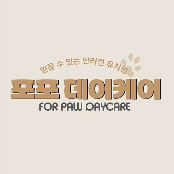포포 데이케어 반려견유치원 애견유치원