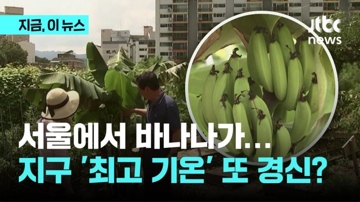 서울에서 바나나 열린다…지구 '최고 기온' 또 경신? 서울에서 바나나 열린다…지구 '최고 기온' 또 경신?